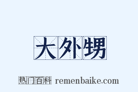 大外甥是什么意思的图片